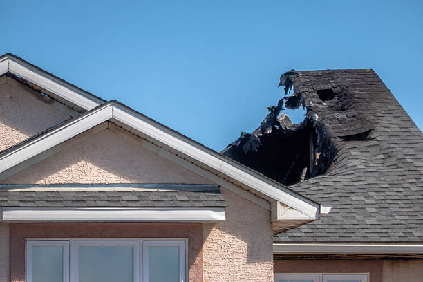 Top rated local Fire Damage Removal specialists in Parrish, FL